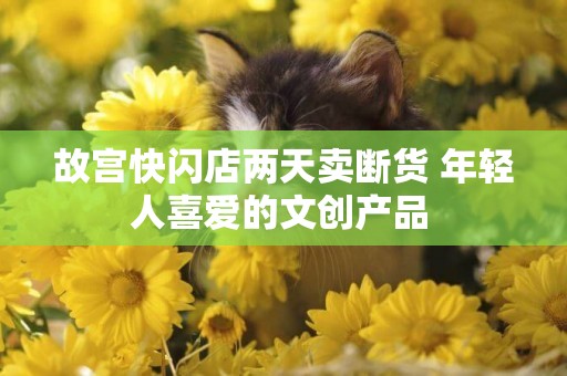 故宮快閃店兩天賣斷貨 年輕人喜愛的文創產品 