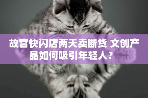 故宮快閃店兩天賣斷貨 文創產品如何吸引年輕人？ 