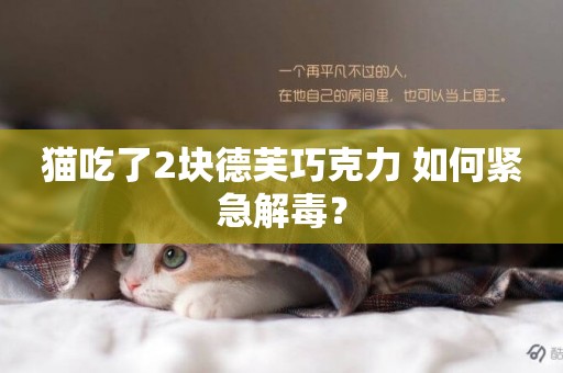 貓吃了2塊德芙巧克力 如何緊急解毒？