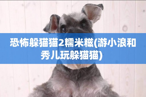 恐怖躲貓貓2糯米糍(游小浪和秀兒玩躲貓貓) 
