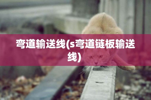彎道輸送線(s彎道鏈板輸送線) 