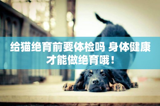給貓絕育前要體檢嗎 身體健康才能做絕育哦！