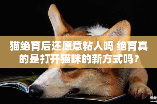 貓絕育后還愿意粘人嗎 絕育真的是打開貓咪的新方式嗎？