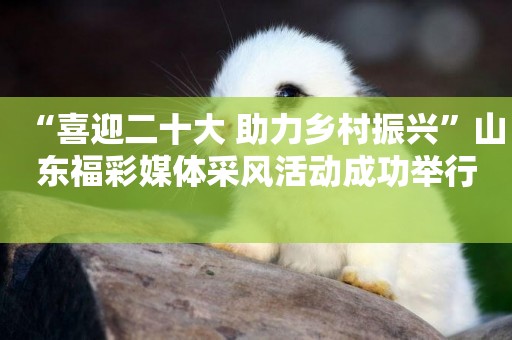 “喜迎二十大 助力鄉村振興”山東福彩媒體采風活動成功舉行 