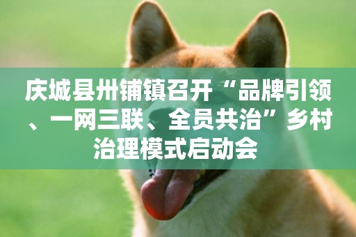 慶城縣卅鋪鎮召開“品牌引領、一網三聯、全員共治”鄉村治理模式啟動會 