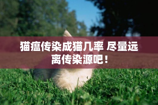貓瘟傳染成貓幾率 盡量遠離傳染源吧！