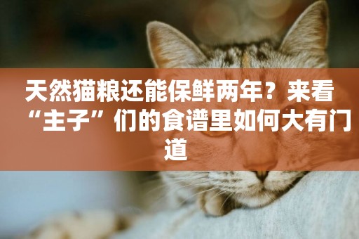 天然貓糧還能保鮮兩年？來看“主子”們的食譜里如何大有門道 