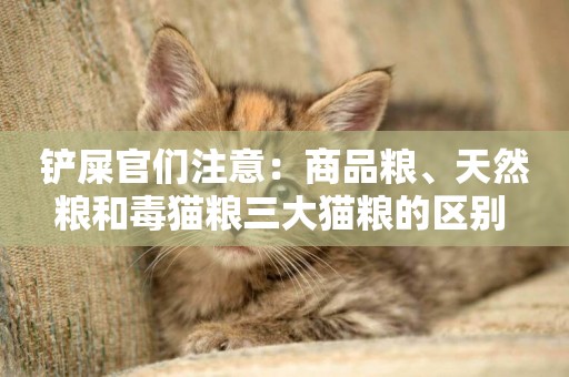 鏟屎官們注意：商品糧、天然糧和毒貓糧三大貓糧的區別 