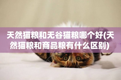 天然貓糧和無谷貓糧哪個好(天然貓糧和商品糧有什么區別) 