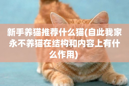 新手養貓推薦什么貓(自此我家永不養貓在結構和內容上有什么作用) 