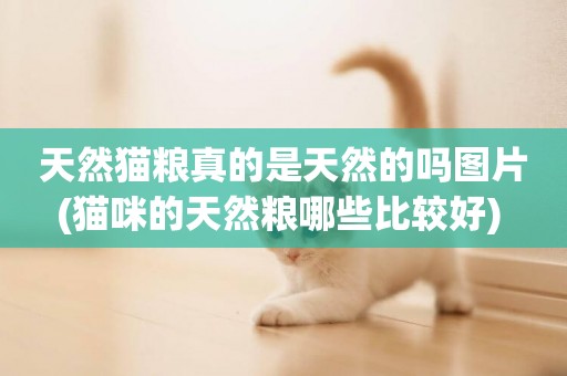 天然貓糧真的是天然的嗎圖片(貓咪的天然糧哪些比較好) 