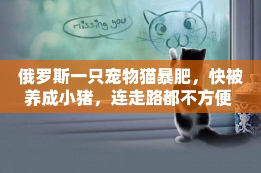 俄羅斯一只寵物貓暴肥，快被養成小豬，連走路都不方便 