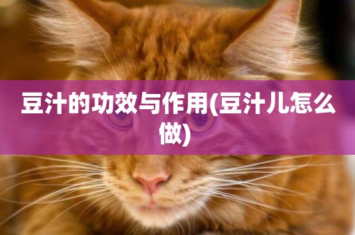 豆汁的功效與作用(豆汁兒怎么做) 