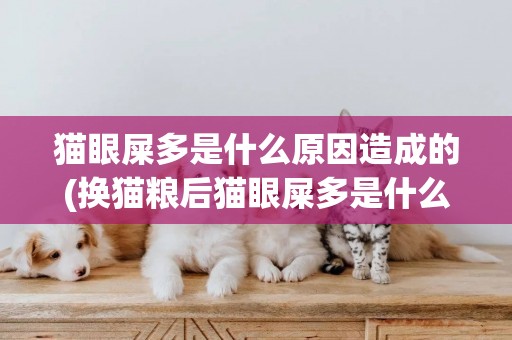貓眼屎多是什么原因造成的(換貓糧后貓眼屎多是什么原因) 
