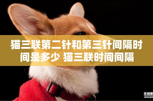 貓三聯第二針和第三針間隔時間是多少 貓三聯時間間隔