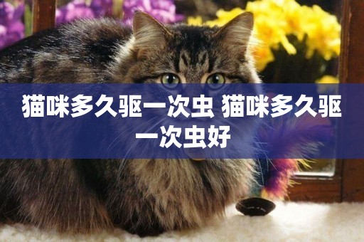 貓咪多久驅一次蟲 貓咪多久驅一次蟲好