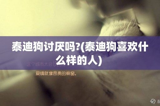 泰迪狗討厭嗎?(泰迪狗喜歡什么樣的人) 