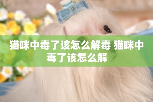 貓咪中毒了該怎么解毒 貓咪中毒了該怎么解
