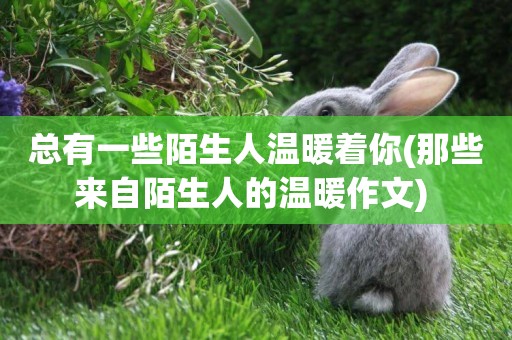 總有一些陌生人溫暖著你(那些來自陌生人的溫暖作文) 