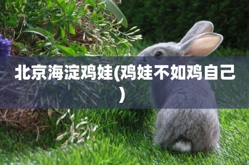 北京海淀雞娃(雞娃不如雞自己) 