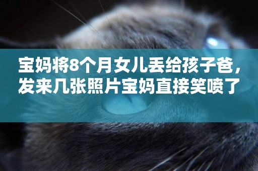 寶媽將8個月女兒丟給孩子爸，發來幾張照片寶媽直接笑噴了 