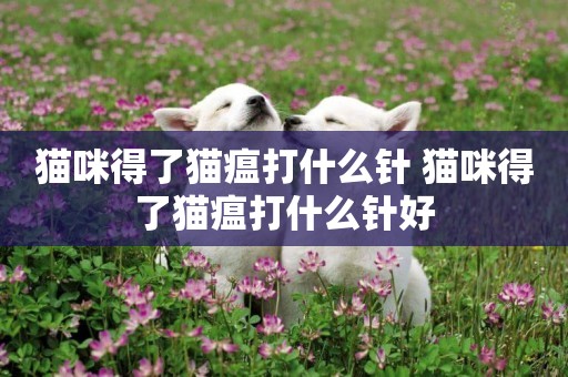 貓咪得了貓瘟打什么針 貓咪得了貓瘟打什么針好
