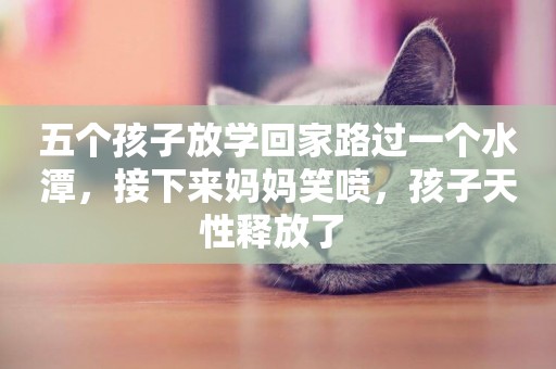 五個孩子放學回家路過一個水潭，接下來媽媽笑噴，孩子天性釋放了 