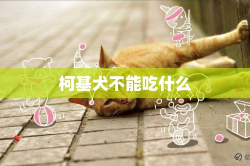 柯基犬不能吃什么