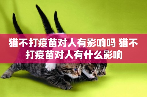 貓不打疫苗對人有影響嗎 貓不打疫苗對人有什么影響