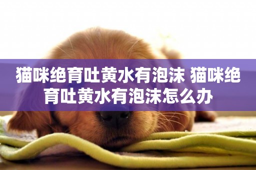 貓咪絕育吐黃水有泡沫 貓咪絕育吐黃水有泡沫怎么辦
