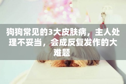 狗狗常見的3大皮膚病，主人處理不妥當，會成反復發作的大難題 