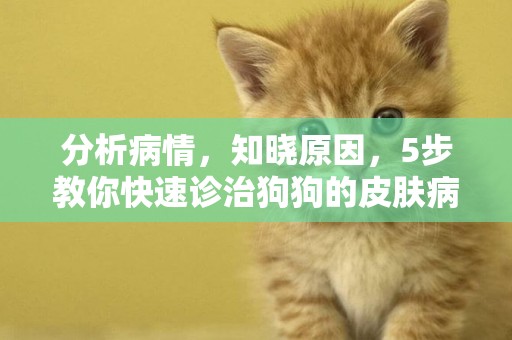 分析病情，知曉原因，5步教你快速診治狗狗的皮膚病！ 