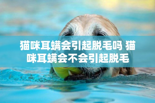 貓咪耳螨會引起脫毛嗎 貓咪耳螨會不會引起脫毛