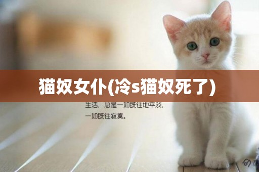貓奴女仆(冷s貓奴死了) 