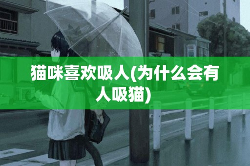 貓咪喜歡吸人(為什么會有人吸貓) 