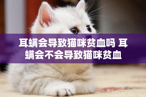 耳螨會導致貓咪貧血嗎 耳螨會不會導致貓咪貧血