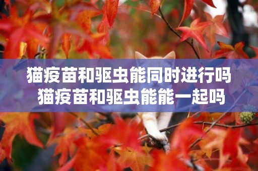 貓疫苗和驅蟲能同時進行嗎 貓疫苗和驅蟲能能一起嗎