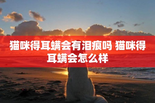 貓咪得耳螨會有淚痕嗎 貓咪得耳螨會怎么樣