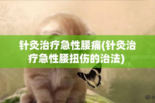針灸治療急性腰痛(針灸治療急性腰扭傷的治法) 