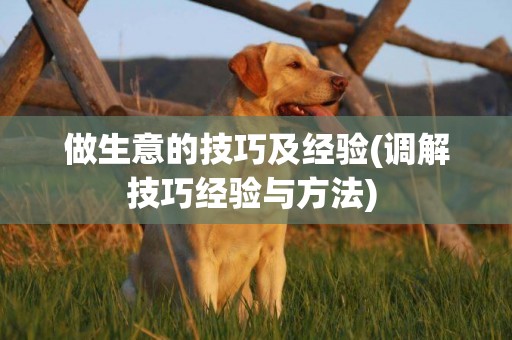 做生意的技巧及經驗(調解技巧經驗與方法) 