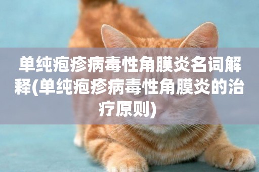 單純皰疹病毒性角膜炎名詞解釋(單純皰疹病毒性角膜炎的治療原則) 