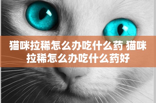 貓咪拉稀怎么辦吃什么藥 貓咪拉稀怎么辦吃什么藥好