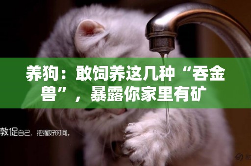 養狗：敢飼養這幾種“吞金獸”，暴露你家里有礦 