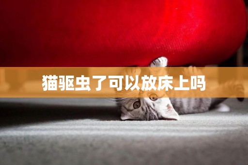 貓驅蟲了可以放床上嗎