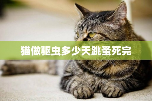 貓做驅蟲多少天跳蚤死完