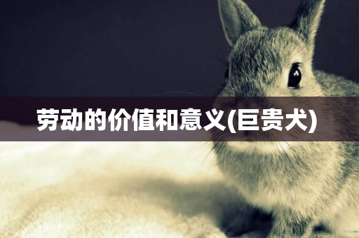勞動的價值和意義(巨貴犬) 