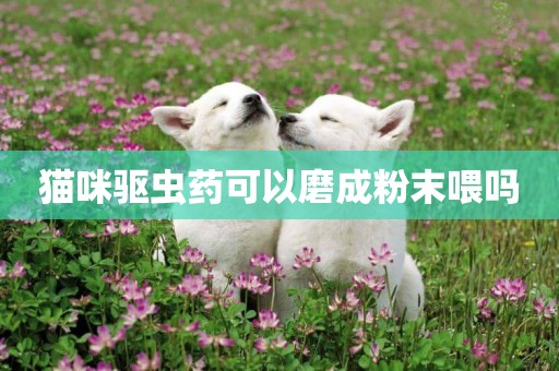 貓咪驅蟲藥可以磨成粉末喂嗎