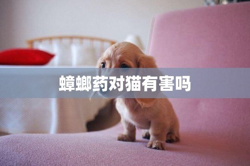 蟑螂藥對貓有害嗎
