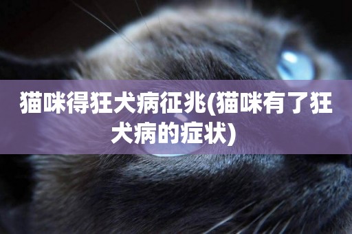 貓咪得狂犬病征兆(貓咪有了狂犬病的癥狀) 