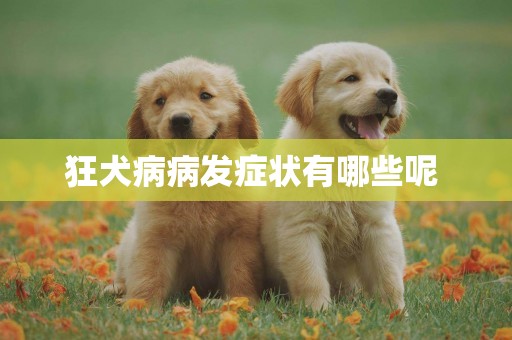 狂犬病病發癥狀有哪些呢 